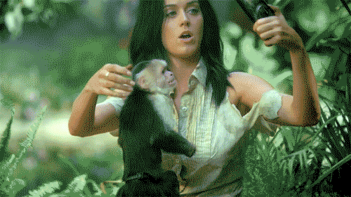 乐趣 猴子 咆哮 丛林 诺基亚 棱镜 十几岁的梦想 凯蒂猫