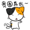 二次元 猫咪 萌宠 贵圈真乱