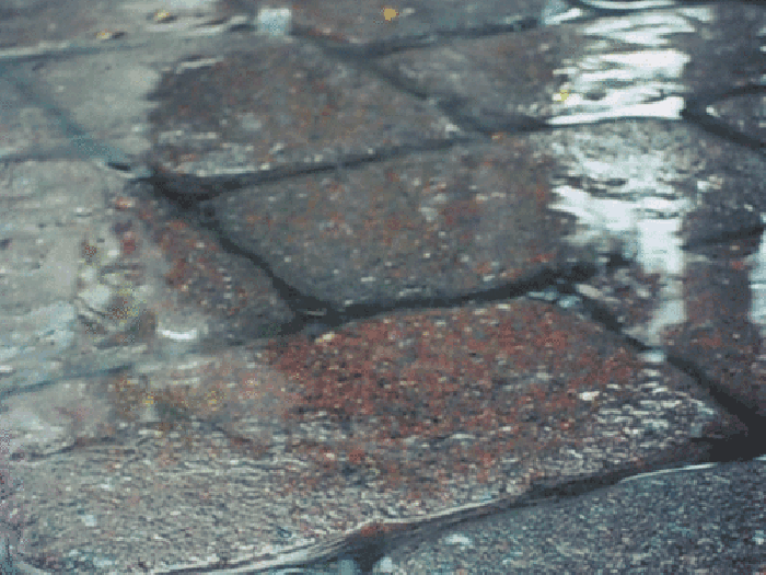 地砖 下雨 雨水 雨滴