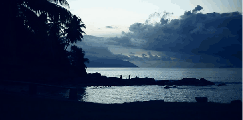 Paul&Wex 塞舌尔群岛 海水 海边 清晨 纪录片 风景