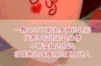 情人节 爱情 恋爱 情人节快乐