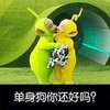 天线宝宝 可爱 萌 单身狗你还好吗