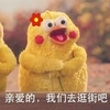 鹦鹉兄弟 亲爱的我们去逛街吧 搞笑 可爱 斗图