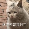 萌宠 猫星人 终究还是错付了 难受 呆萌 可爱