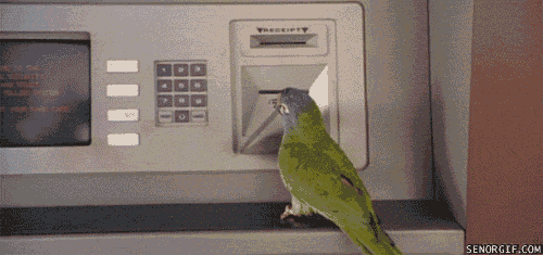 鸟 bird 刷卡 取钱