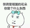 逗逼 蝴蝶结 红领巾 大头