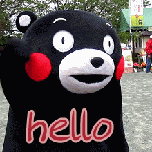 熊本熊 hello 打招呼