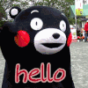 熊本熊 hello 打招呼