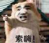 老鼠 指人 呆萌 索嗨
