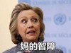妈的智障 希拉里·黛安·罗德姆·克林顿 搞笑 表情包