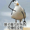 可惜你没有 鸽子 外头 手势 搞笑