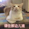 萌宠 猫星人 请往那边滚 暗示 搞怪 逗