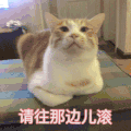 萌宠 猫星人 请往那边滚 暗示 搞怪 逗