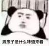 暴漫 文字表情包 男孩子是什么味道来着 搞怪 逗 魔性