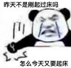 暴漫 熊猫头 昨天不是刚起床吗 怎么今天又要起床 搞怪 逗