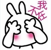 兔子 害羞 捂脸 我不在