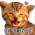 新年快乐 猫咪 可爱 喵呜
