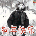 哈士奇 狗年 快乐 soogif