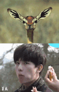 男神 青春 杨洋 可爱 萌 对比 美男子 花美男