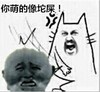 爆打 卖萌 小狗 你萌的像坨屎