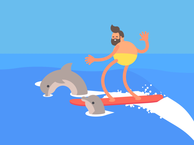 冲浪 surfing 海豚