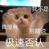 萌宠 喵星人 我不是 别瞎说 搞怪 逗