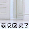 狗狗 穿衣 奔跑 我又回来了