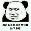 熊猫头 孙尚香妹妹 孙下香 斗图 搞笑 猥琐