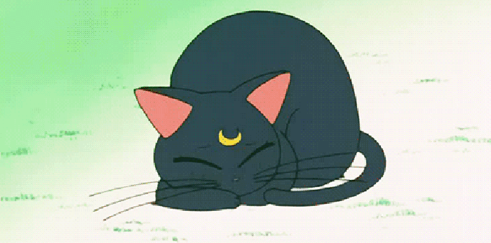黑色 猫咪 睡觉 月牙