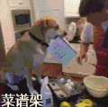 汪星人 听话 配合 菜谱架