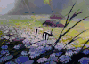 小鹿斑比 春天 爱情 动画 bambi