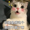 萌宠 喵星人 你要是唠这个 我可不困了 搞怪 逗