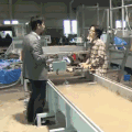 京都大学 soogif soogif出品