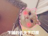 萌宠 喵星人 下铺的去关下灯 关灯 呆萌 可爱