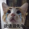 萌宠 猫星人 欲语泪先流 想哭 呆萌 可爱