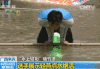 央视  新闻  独竹漂  水上轻功  技巧  绝活