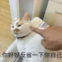 萌宠 猫咪 猫 喵星人 你好好反省一下你自己 反省