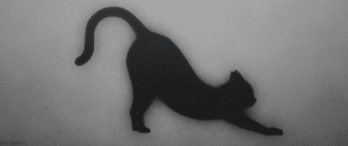 猫咪 翻书 黑白 连环画