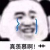 熊猫头 暴漫 真羡慕啊 搞笑 逗 蠢萌 沙雕