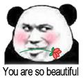 恶搞 玫瑰 you are so beautiful 撩妹