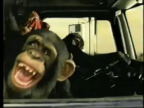 卡车 广告  黑猩猩  复古