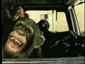 卡车 广告  黑猩猩  复古