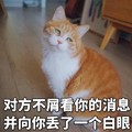 猫咪 地板 歪脖子 对方不屑看你 的消息 并向你丢了 一个白眼