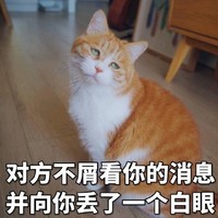 猫咪 地板 歪脖子 对方不屑看你 的消息 并向你丢了 一个白眼