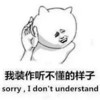 金馆长 猫咪 搞笑 我装作听不懂的样子