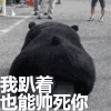 熊本熊 萌 帅死你 趴着