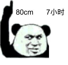 熊猫头 80cm7小时 斗图 搞笑 向上