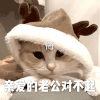 萌宠 猫星人 亲爱的老公 对不起 呆萌 可爱