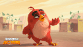 愤怒的小鸟 Angry Birds movie 掌控 握拳 犀利的眼神 浓眉 毛茸茸