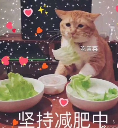 沙雕 逗 搞笑 文字表情包 蠢萌